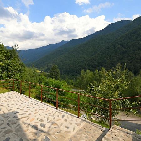 Cabana Oana Retezat Риу-де-Морі Екстер'єр фото