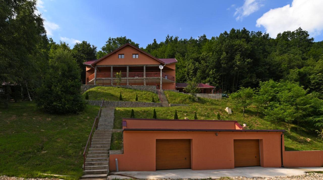 Cabana Oana Retezat Риу-де-Морі Екстер'єр фото